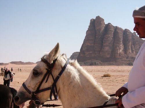 Captain'S Desert Camp Wadi Rum Exteriér fotografie